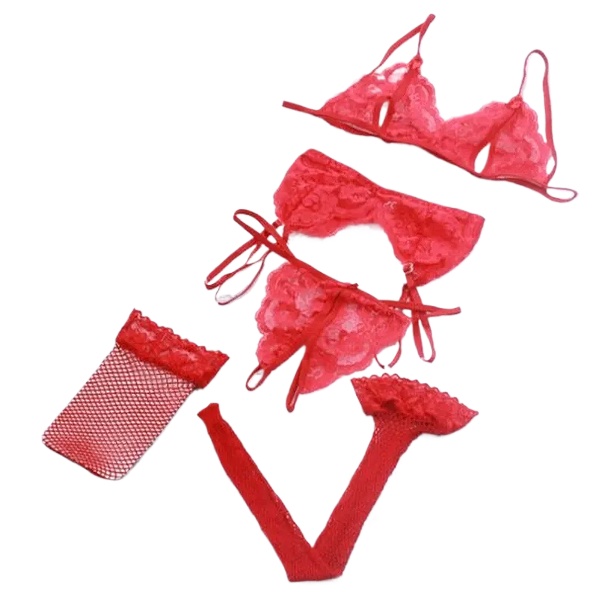 Lace Women Lingerie Set 4 Pcs  - Sheer Mesh Bra review and price